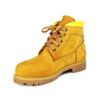 patrilanderlowcamel5